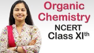 Organic Chemistry  Detection of Nitrogen Part 2 Class 11th CBSE Chemistry [upl. by Pincince877]