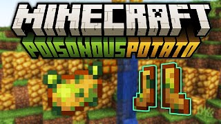 Beating Minecrafts WEIRDEST Update [upl. by Floss477]