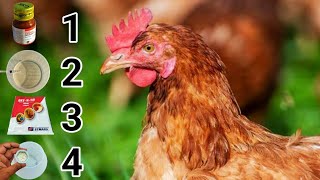 Deworming Flushing Antibiotic and Vaccine Procedure in Chickens  Dr ARSHAD [upl. by Vieva]