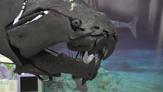 Meet the Dunkleosteus [upl. by Jessey]