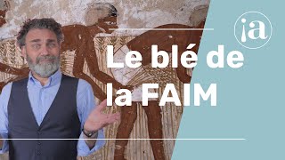 Ep 31 Le blé de la faim ou comment Joseph ruine et réduit en servage tout le peuple Égyptien [upl. by Salohcin]