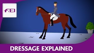 Introduction to Dressage [upl. by Tirzah]