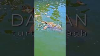 Dalyan Turkey [upl. by Agnese182]