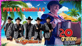 Lo Mejor de Los Tigrillos 🔆 20 Éxitos Memorables🍹Cumbias Inolvidables de Los Tigrillos [upl. by Genia]