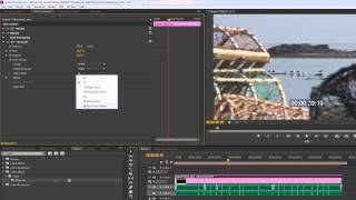 Premiere Pro CS6 Techniques 96 Time 5 Burnin Timecode [upl. by Jt998]