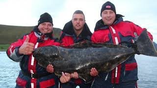 Vissen in Noorwegen Nappstraumen Lofoten [upl. by Eenafets]