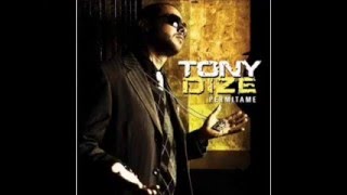 Tony Dize feat Yandel  Permitame [upl. by Ahtanamas]