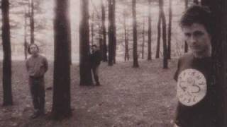 GALAXIE 500  Decomposing Trees Peel Sessions [upl. by Eidur]