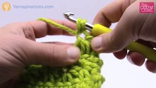 Crochet Star Cluster Stitch  BEGINNER  The Crochet Crowd [upl. by Laefar530]