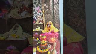 NAVRATRI VIBE ON✨️☀️ navratri maadurga festival ytshorts [upl. by Uol]