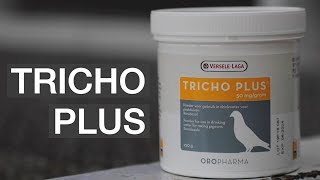 TRICHO PLUS vitamin and the feeds programme for training of the young homing pigeons [upl. by Reisman]