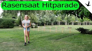 Rasensaat Hitparade Top 11🚩11 Rasensaat Mischungen im Langzeittest Rasen säen düngen schneiden [upl. by Musa579]