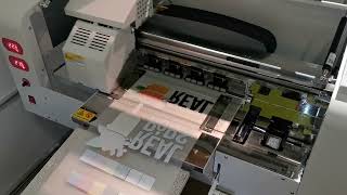 DTF transfer printing on Audley S20303 30cm with dual i3200 printheads [upl. by Ryhpez]