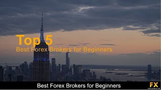 Best Forex Brokers for Beginners📈 [upl. by Silloh]