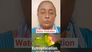 Eutrophication हिंदी में Understanding the Impact on Aquatic Ecosystems shortsfeed ytshorts [upl. by Atinahc]