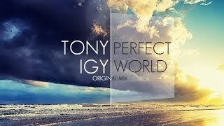 Tony Igy  Perfect World Original Mix [upl. by Janenna]