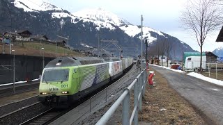 Güterverkehr in Frutigen  Bahnhof LBT Einfahrt amp Kanderviadukt [upl. by Zeb402]