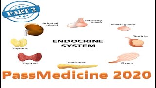 MRCP PART TWO PASSMEDICINE 2020 Endocrinology 27 [upl. by Beaner]