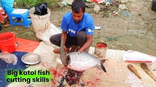 biler tatka katol fish cutting fishing fishcutting fishingvideo fishcuttingskills villagelife [upl. by Lina]