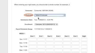 Creating a Timesheet Consumer [upl. by Enois]