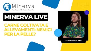 Minerva Live  Parliamo di carne coltivata e allevamenti con Gabriele Scrofani [upl. by Reinaldo]