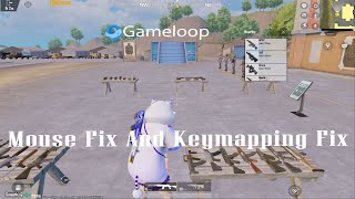 Gameloop Keymapping Fix  PUBGM 30  PUBG Mobile Emulator Mouse And Keyboard Not Working Solution [upl. by Eki]