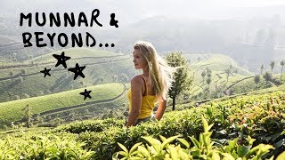 Munnar India  Beautiful Kerala Tea Plantations amp Outdoor activities [upl. by Euqinimod]