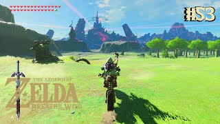 Breath of the Wild 53 Beginning Hyrule Castle [upl. by Glassco410]