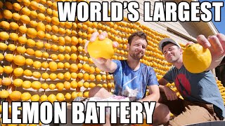 Worlds Largest Lemon Battery [upl. by Livvy218]