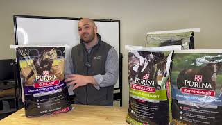 Whats the best horse supplement for gastric support [upl. by Atinehc]