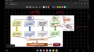 GIT Pharmacology ll Antiemetics amp prokinetics [upl. by Hultin]