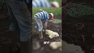 Köpeğini bu yüzden çamura soktu 🥺❤️ [upl. by Airamahs559]