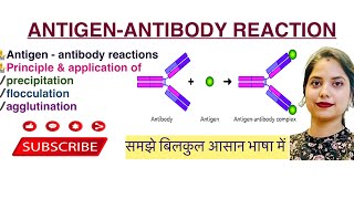 AntigenAntibody reaction in Hindi￼  Agglutination  Precipitation  Flocculation  Mycology  MLT [upl. by Ziana]