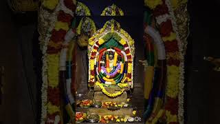 Bagalur Yellammadevi Navarathri Alangaram 2024 [upl. by Lilahk]