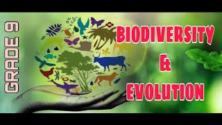 SCIENCE 9BIODIVERSITY AND EVOLUTIONENVIRONMENTAL ISSUESQ1 [upl. by Kessler]