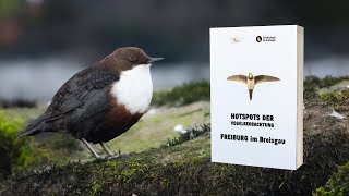 Freiburg im Breisgau  Hotspots der Vogelbeobachtung Trailer [upl. by Acsisnarf]