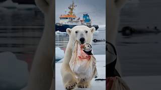 A touching film about a bear cub who asks for help from a sailor to save his friend from danger [upl. by Pyle]