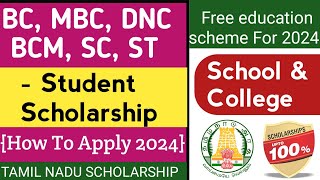 bc scholarship online apply in tamilnadu 20242025  How To apply bc scholarship online 2023 [upl. by Yhtur]