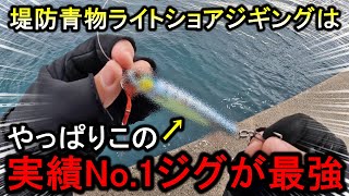 ジグサビキでも全く釣れない冬の堤防…このジグに変えた途端、青物が釣れまくりました [upl. by Atiuqnahs706]