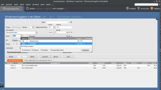 Tutorial EinnahmenAusgaben in den Stapel im Lexware Buchhalter 2012 [upl. by Ready355]