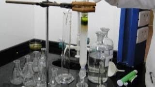 Isolation of Plant Pigments by Column Chromatography  Amrita University [upl. by Persons688]