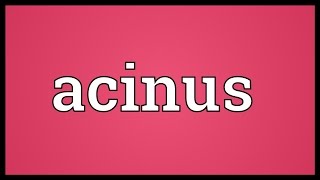 Acinus Meaning [upl. by Anitram303]