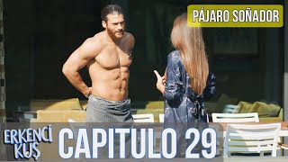 Pájaro soñador  Capitulo 29 Audio Español  Erkenci Kuş [upl. by Ahsiniuq242]