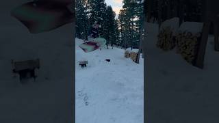 We built a sledding hill with some mtb jumps mtb winter [upl. by Adnulahs]