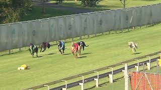 Capalaba22092024Race12 [upl. by Lander]