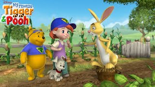 My Friends Tigger and Pooh S01E23 Rabbits Eggcellent Adventure  Review [upl. by Adnirolc878]