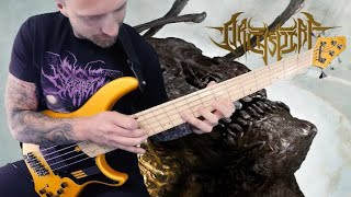 ARCHSPIRE  Drone Corpse Aviator  Bass cover [upl. by Vittoria]