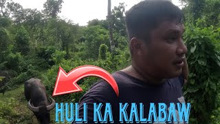 Update sa munting farm kaagapaymixvlogs9819 [upl. by Eneg288]