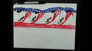 sliding filament theory project 92324 [upl. by Clementas]