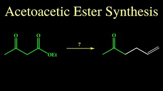 Acetoacetic Ester Synthesis [upl. by Atirahc]